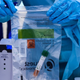 The World Health Organization announced on Friday that there is currently no evidence that people who have recovered from covid-19 cannot be reinfected.
